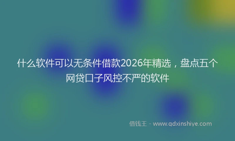 什么软件可以无条件借款2026年精选，盘点五个网贷口子风控不严的软件