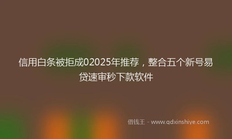 信用白条被拒成02025年推荐，整合五个新号易贷速审秒下款软件