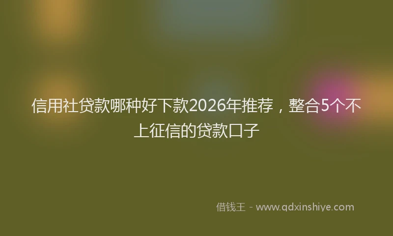 信用社贷款哪种好下款2026年推荐，整合5个不上征信的贷款口子