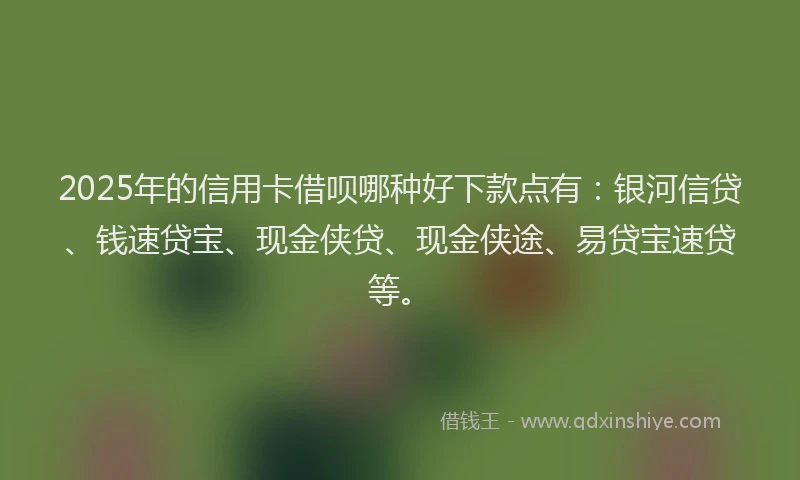 2025年的信用卡借呗哪种好下款点有：银河信贷、钱速贷宝、现金侠贷、现金侠途、易贷宝速贷等。
