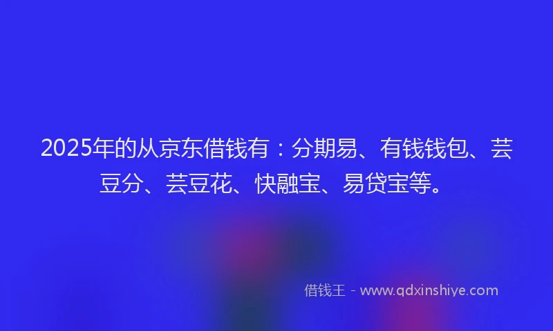2025年的从京东借钱有：分期易、有钱钱包、芸豆分、芸豆花、快融宝、易贷宝等。