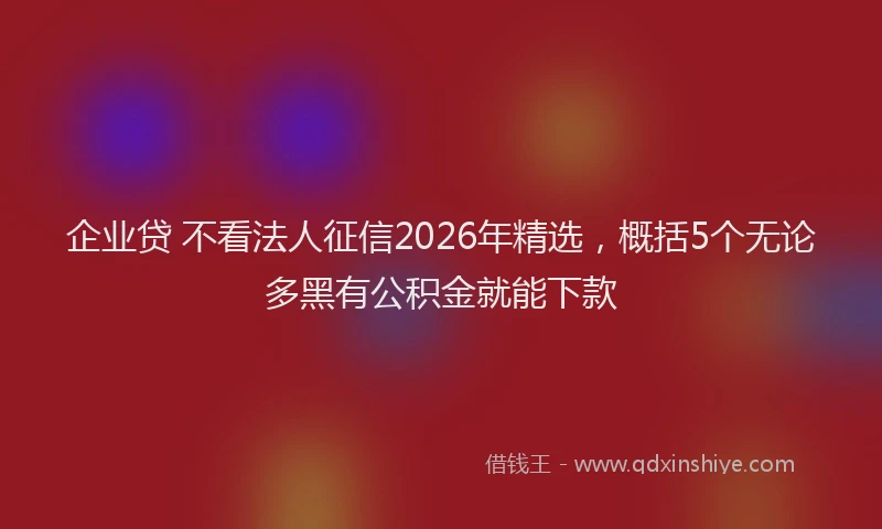 企业贷 不看法人征信2026年精选，概括5个无论多黑有公积金就能下款