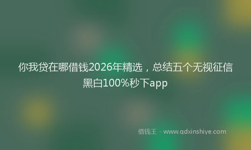 你我贷在哪借钱2026年精选，总结五个无视征信黑白100%秒下app