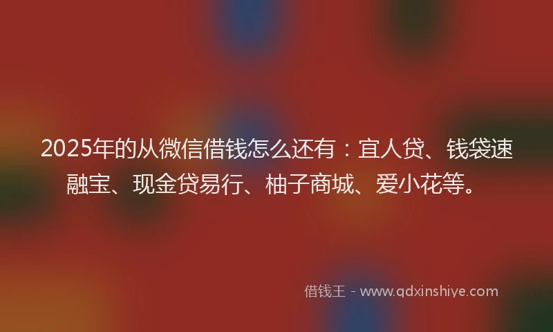 2025年的从微信借钱怎么还有:宜人贷、钱袋速融宝、现金贷易行、柚子商城、爱小花等。