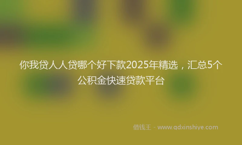 你我贷人人贷哪个好下款2025年精选，汇总5个公积金快速贷款平台