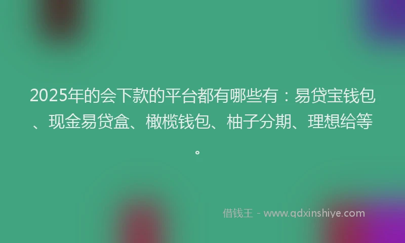2025年的会下款的平台都有哪些有：易贷宝钱包、现金易贷盒、橄榄钱包、柚子分期、理想给等。