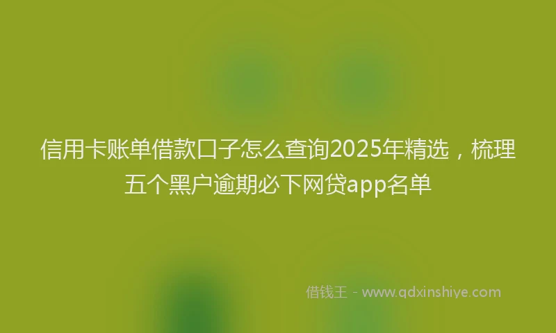 信用卡账单借款口子怎么查询2025年精选,梳理五个黑户逾期必下网贷app名单