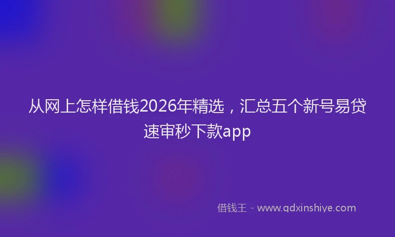 从网上怎样借钱2026年精选，汇总五个新号易贷速审秒下款app