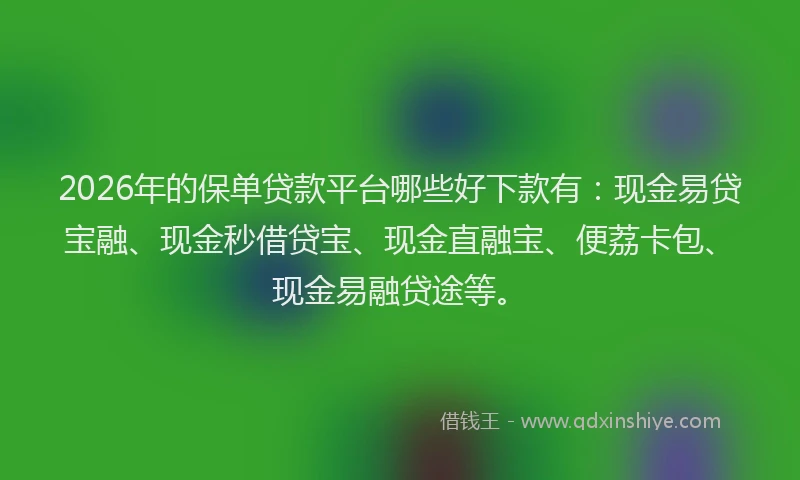 2026年的保单贷款平台哪些好下款有：现金易贷宝融、现金秒借贷宝、现金直融宝、便荔卡包、现金易融贷途等。