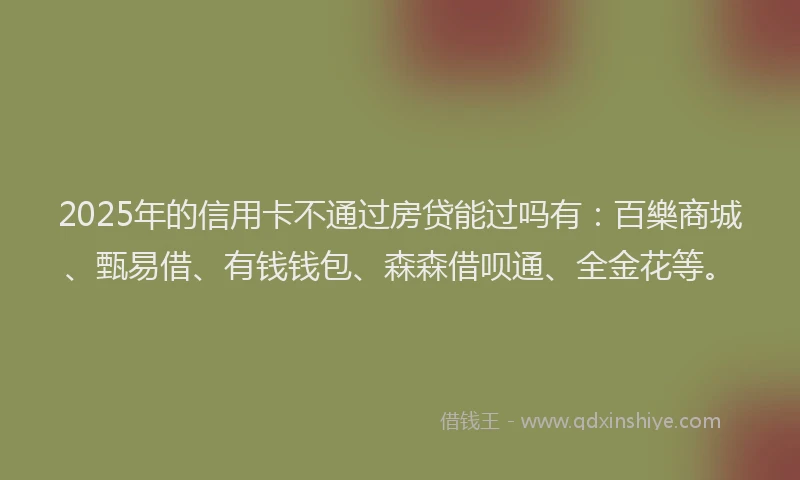 2025年的信用卡不通过房贷能过吗有：百樂商城、甄易借、有钱钱包、森森借呗通、全金花等。