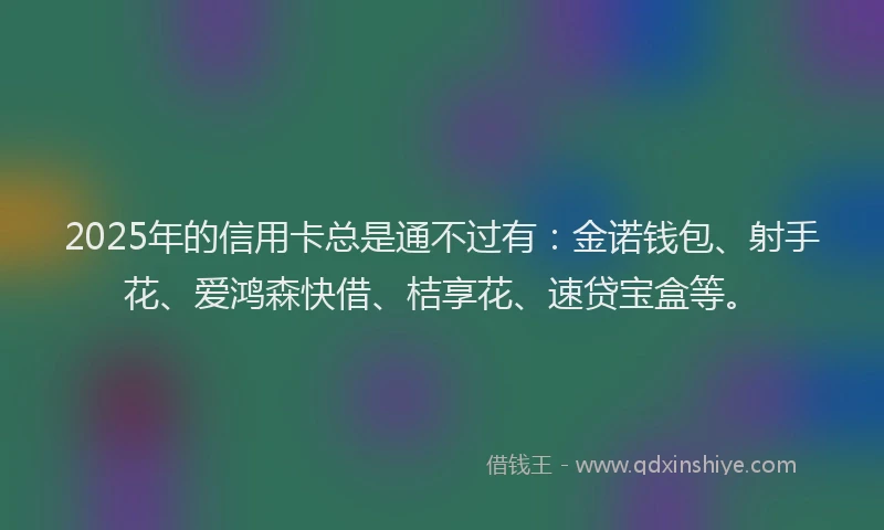 2025年的信用卡总是通不过有：金诺钱包、射手花、爱鸿森快借、桔享花、速贷宝盒等。