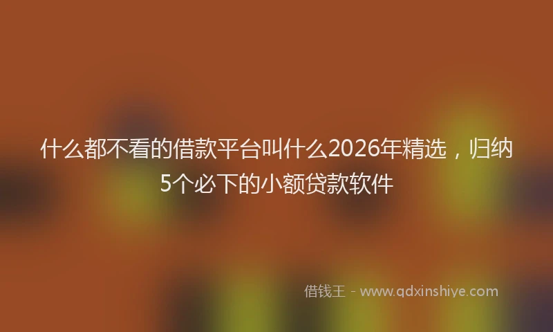 什么都不看的借款平台叫什么2026年精选，归纳5个必下的小额贷款软件