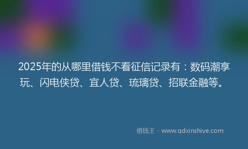 2025年的从哪里借钱不看征信记录有：数码潮享玩、闪电侠贷、宜人贷、琉璃贷、招联金融等。