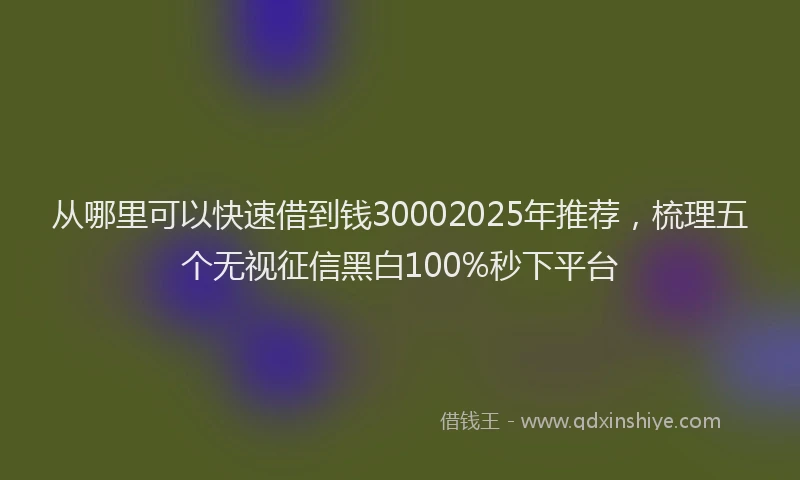 从哪里可以快速借到钱30002025年推荐，梳理五个无视征信黑白100%秒下平台