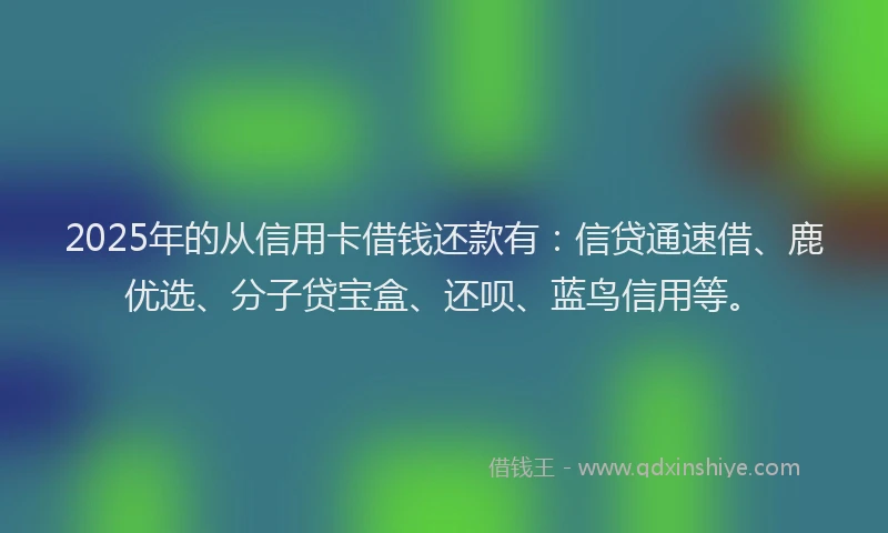 2025年的从信用卡借钱还款有:信贷通速借、鹿优选、分子贷宝盒、还呗、蓝鸟信用等。