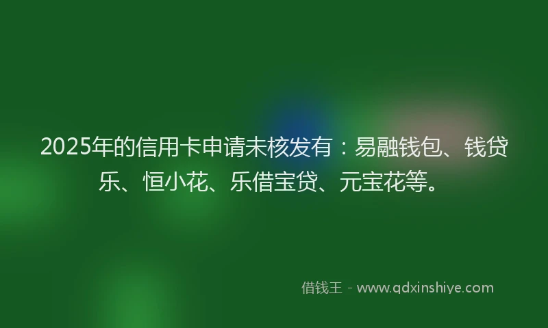 2025年的信用卡申请未核发有:易融钱包、钱贷乐、恒小花、乐借宝贷、元宝花等。