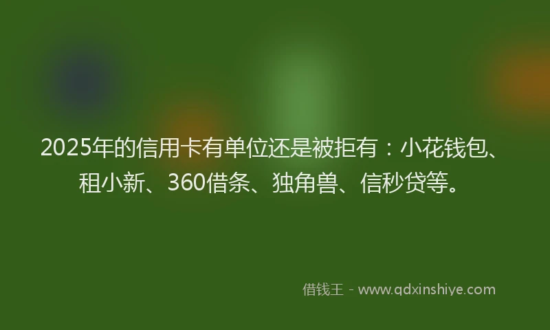 2025年的信用卡有单位还是被拒有：小花钱包、租小新、360借条、独角兽、信秒贷等。