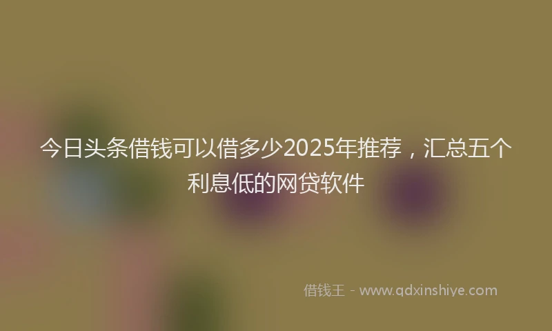 今日头条借钱可以借多少2025年推荐，汇总五个利息低的网贷软件