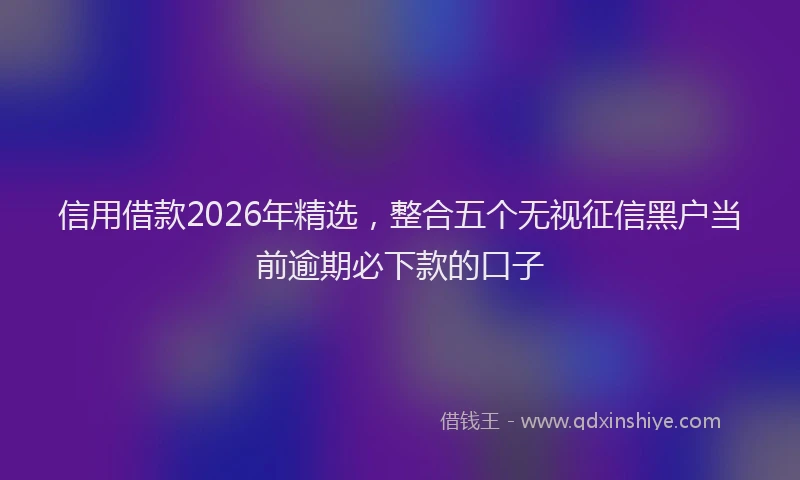 信用借款2026年精选,整合五个无视征信黑户当前逾期必下款的口子