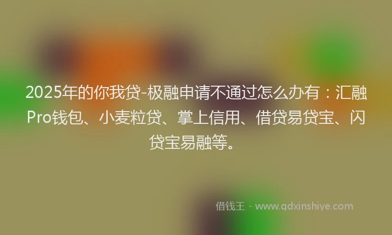 2025年的你我贷-极融申请不通过怎么办有:汇融Pro钱包、小麦粒贷、掌上信用、借贷易贷宝、闪贷宝易融等。
