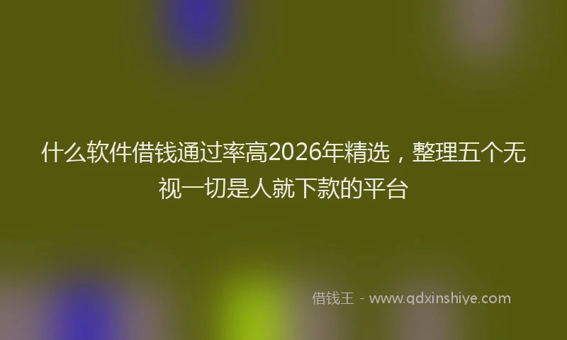 什么软件借钱通过率高2026年精选,整理五个无视一切是人就下款的平台