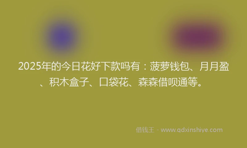 2025年的今日花好下款吗有：菠萝钱包、月月盈、积木盒子、口袋花、森森借呗通等。
