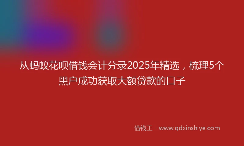 从蚂蚁花呗借钱会计分录2025年精选,梳理5个黑户成功获取大额贷款的口子