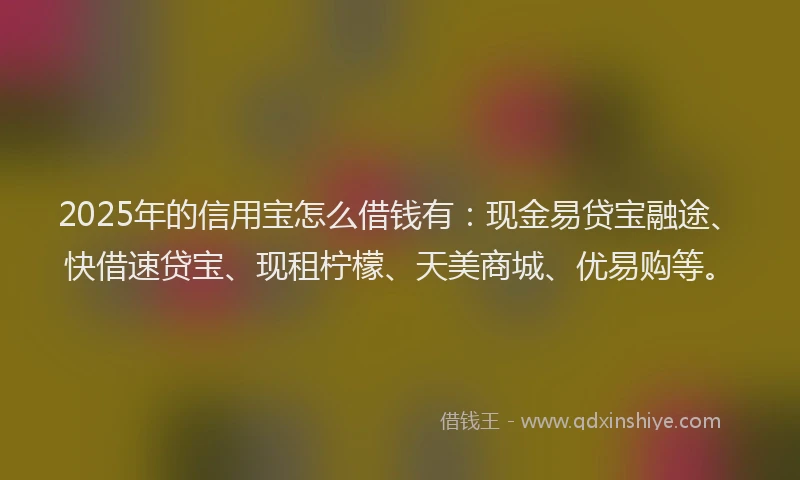 2025年的信用宝怎么借钱有：现金易贷宝融途、快借速贷宝、现租柠檬、天美商城、优易购等。