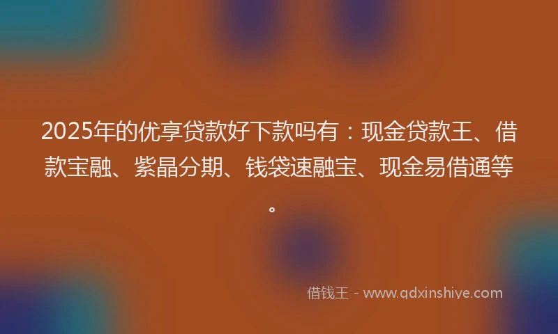 2025年的优享贷款好下款吗有:现金贷款王、借款宝融、紫晶分期、钱袋速融宝、现金易借通等。