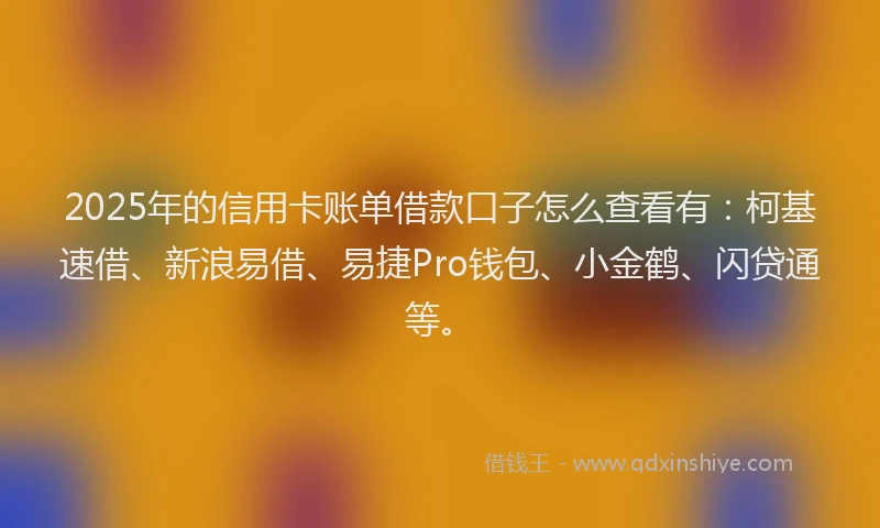 2025年的信用卡账单借款口子怎么查看有：柯基速借、新浪易借、易捷Pro钱包、小金鹤、闪贷通等。