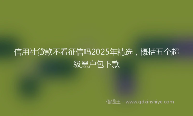 信用社贷款不看征信吗2025年精选，概括五个超级黑户包下款