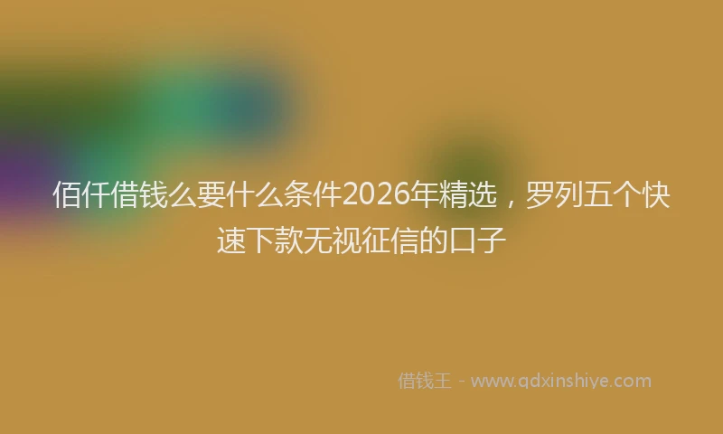 佰仟借钱么要什么条件2026年精选，罗列五个快速下款无视征信的口子