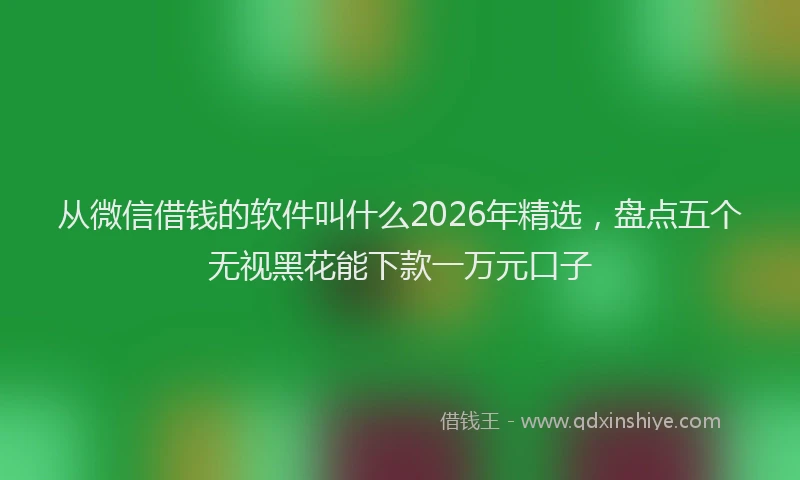 从微信借钱的软件叫什么2026年精选,盘点五个无视黑花能下款一万元口子