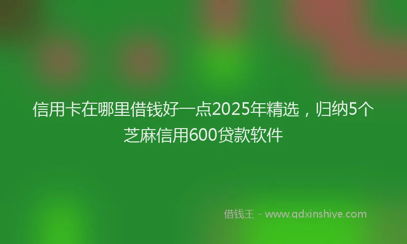 信用卡在哪里借钱好一点2025年精选，归纳5个芝麻信用600贷款软件