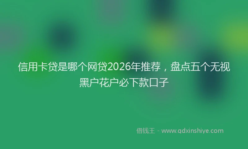 信用卡贷是哪个网贷2026年推荐，盘点五个无视黑户花户必下款口子