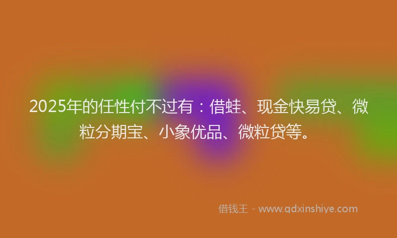 2025年的任性付不过有：借蛙、现金快易贷、微粒分期宝、小象优品、微粒贷等。