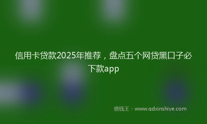 信用卡贷款2025年推荐，盘点五个网贷黑口子必下款app