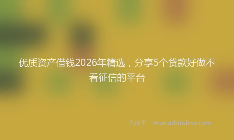 优质资产借钱2026年精选，分享5个贷款好做不看征信的平台