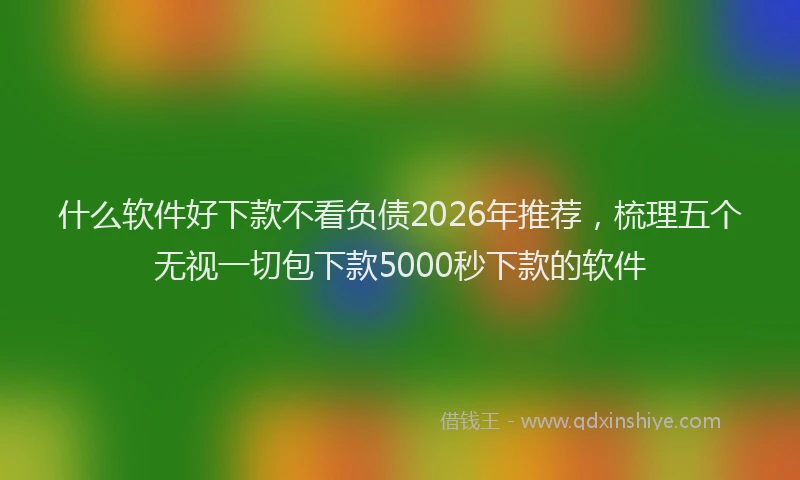 什么软件好下款不看负债2026年推荐，梳理五个无视一切包下款5000秒下款的软件