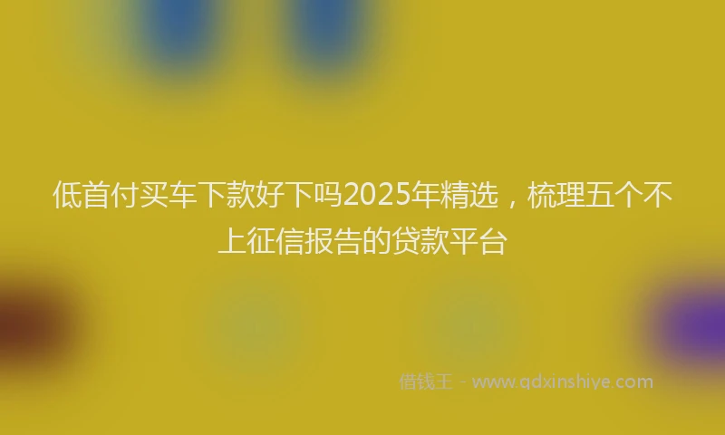 低首付买车下款好下吗2025年精选，梳理五个不上征信报告的贷款平台