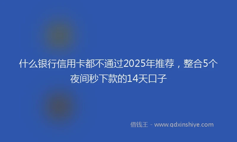 什么银行信用卡都不通过2025年推荐，整合5个夜间秒下款的14天口子