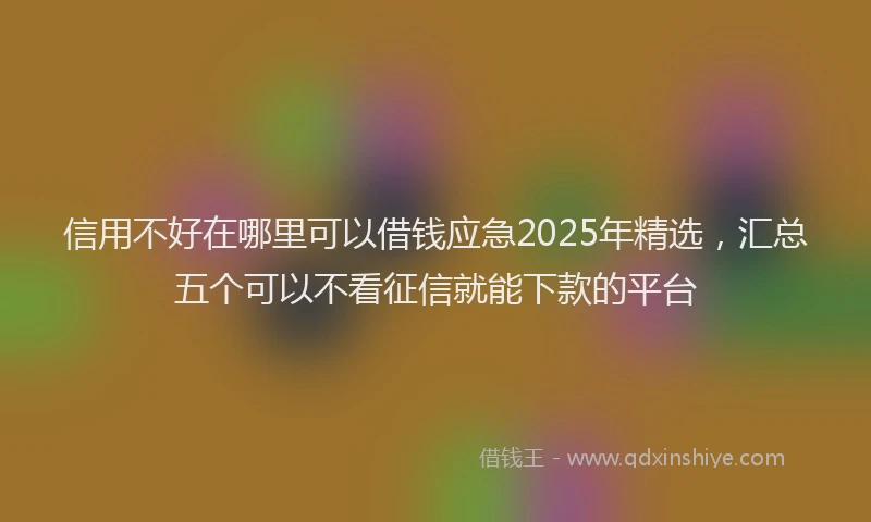 信用不好在哪里可以借钱应急2025年精选，汇总五个可以不看征信就能下款的平台