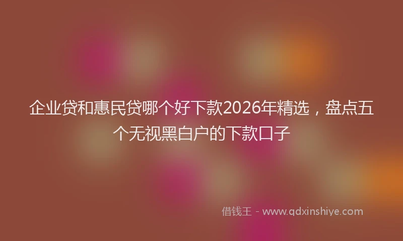 企业贷和惠民贷哪个好下款2026年精选，盘点五个无视黑白户的下款口子