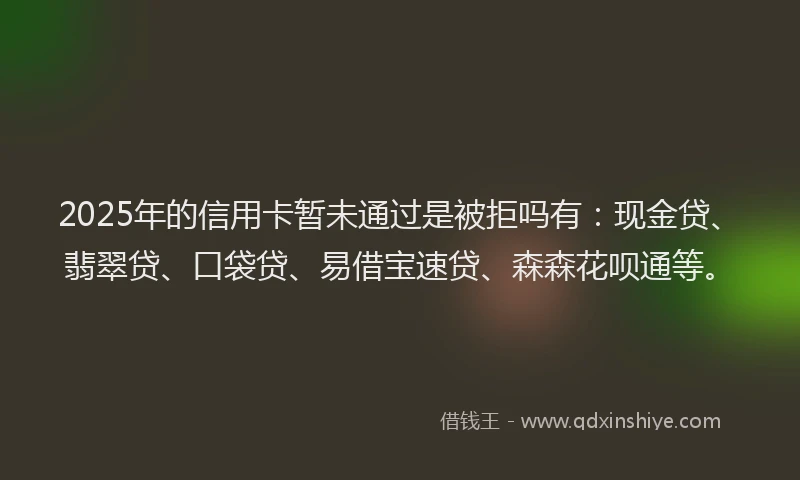 2025年的信用卡暂未通过是被拒吗有：现金贷、翡翠贷、口袋贷、易借宝速贷、森森花呗通等。