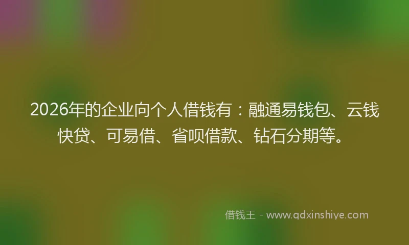 2026年的企业向个人借钱有:融通易钱包、云钱快贷、可易借、省呗借款、钻石分期等。