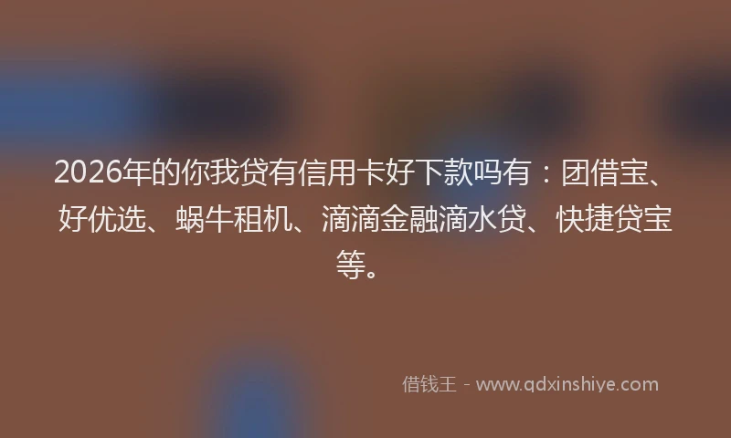 2026年的你我贷有信用卡好下款吗有：团借宝、好优选、蜗牛租机、滴滴金融滴水贷、快捷贷宝等。