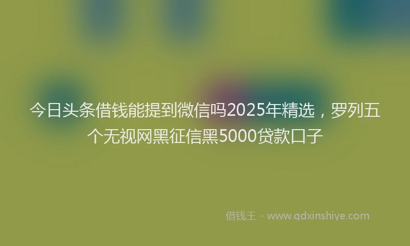 今日头条借钱能提到微信吗2025年精选，罗列五个无视网黑征信黑5000贷款口子