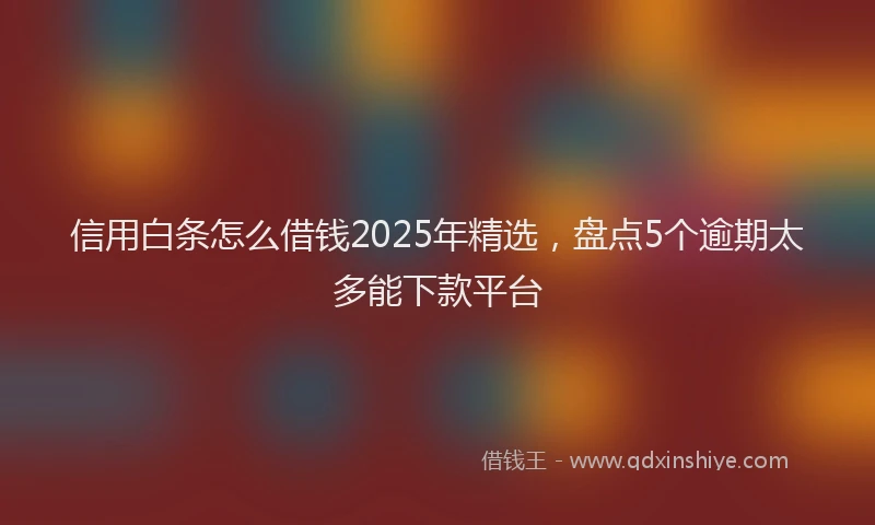 信用白条怎么借钱2025年精选，盘点5个逾期太多能下款平台