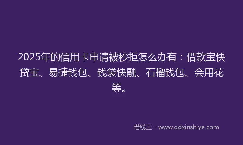 2025年的信用卡申请被秒拒怎么办有：借款宝快贷宝、易捷钱包、钱袋快融、石榴钱包、会用花等。