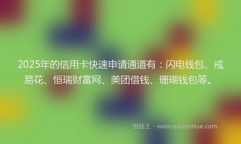 2025年的信用卡快速申请通道有:闪电钱包、戒易花、恒瑞财富网、美团借钱、珊瑚钱包等。